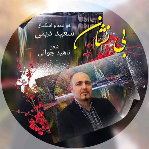 سعید دینی بی نشان